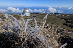 original_840bd875-5c94-4a1e-9f94-db84788d78a1_PXL_20250430_085146498