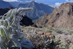 original_929cbd21-fb16-4711-8222-af7eaf4ddd40_PXL_20250430_092224927