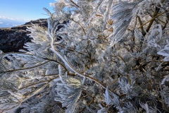 original_a272bd32-14bf-4cd6-bda9-59a65c7909f0_PXL_20250430_085829868