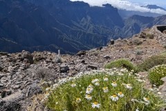 original_a8021f5b-b62a-4b06-8535-5761a79bb1f1_PXL_20250430_094939976