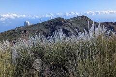 original_ba78f057-1b36-4d57-be49-be6bfc3f5a38_PXL_20250430_092848502