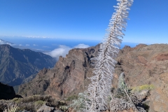 original_be52a557-0033-46fa-8c6d-0a5a5ed2ec50_PXL_20250430_093105952