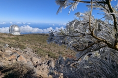 original_d46d7017-8abc-4bf5-a617-13d2d8b176d7_PXL_20250430_085705843