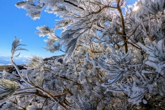 original_d6647aa8-ca3a-42de-9813-f2cc22364c88_PXL_20250430_0859069492