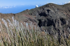 original_ef145674-36df-4baa-a682-4d290ebbb87a_PXL_20250430_100458247