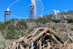 original_f5a2452b-9bc2-490f-9705-50654f896827_PXL_20250429_152210905