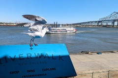 PXL_20240109_1915042572