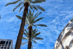 PXL_20240110_1818305852