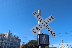 PXL_20240110_185256628