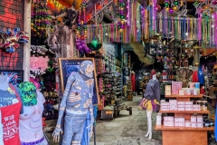 PXL_20240110_1859565332