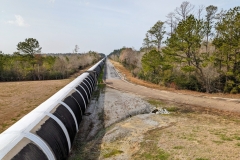 PXL_20240112_1716305582