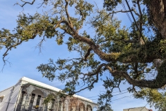 PXL_20240113_211729261