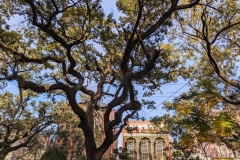 PXL_20240113_212022445