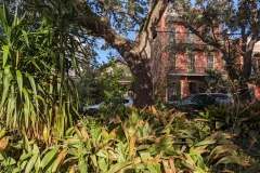 PXL_20240113_212059194