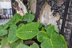 PXL_20240113_212322279