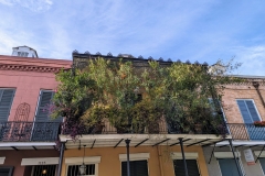 PXL_20240113_212639667