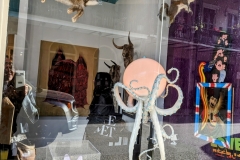 PXL_20240113_213429136.MP2_