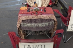 PXL_20240113_223119830.PORTRAIT