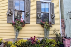 PXL_20240113_224200435