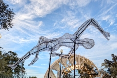 PXL_20240113_2245400442