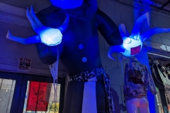 PXL_20240114_004114326.MP_