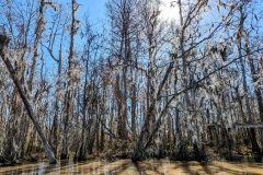 PXL_20240114_1816529782