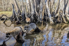 PXL_20240114_185848601