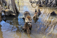 PXL_20240114_185942581