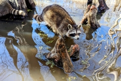 PXL_20240114_185951728.PORTRAIT2