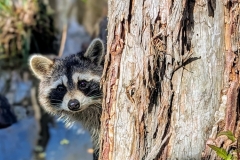 PXL_20240114_190025487.PORTRAIT2