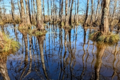 PXL_20240114_1902535482