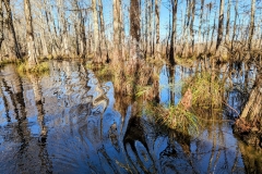 PXL_20240114_1903012212