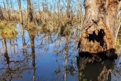 PXL_20240114_1903555952