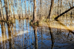 PXL_20240114_1904383242