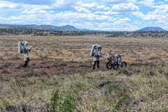 PXL_20240513_202603651