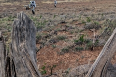 PXL_20240513_203454862.MP_