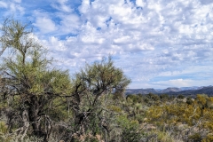 PXL_20240514_151942687