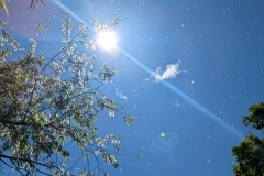 PXL_20240516_1435219422