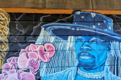 PXL_20240523_003843620.MP_