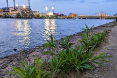 original_3e192dee-12fb-4b32-ac98-434f15307076_PXL_20240523_004607043.MP_