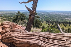 original_5a300dee-2936-4398-8580-5f05580c96f3_PXL_20240518_164939499