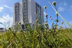 original_c3907656-a0cd-4971-aec6-f352b374f426_PXL_20241022_154926968