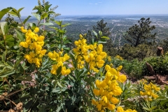 original_fcf347a5-6c2d-4802-964f-3feeeee9a626_PXL_20240518_171710157